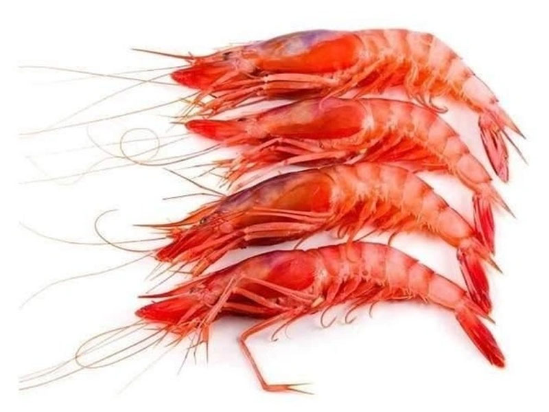 Prawn